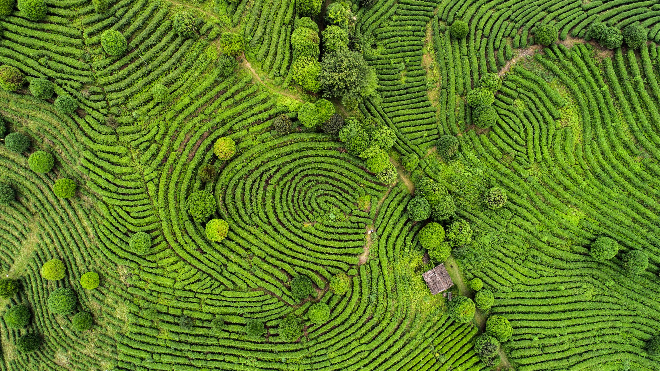 iStock-679322920